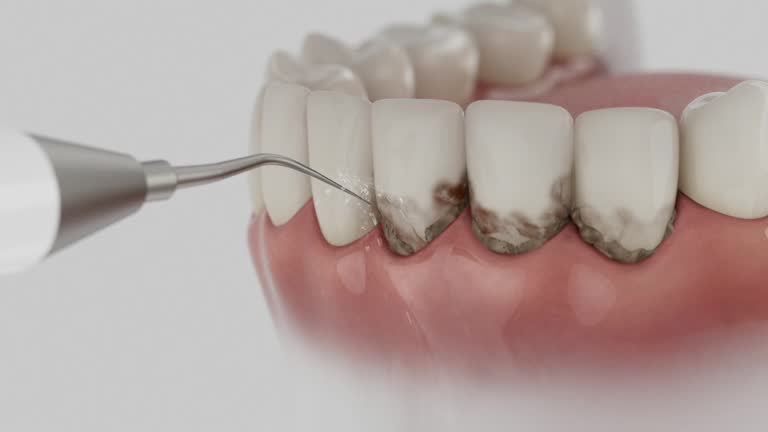 Reliable Dental contractor in New Baltimore, VA by Dentist Open Now